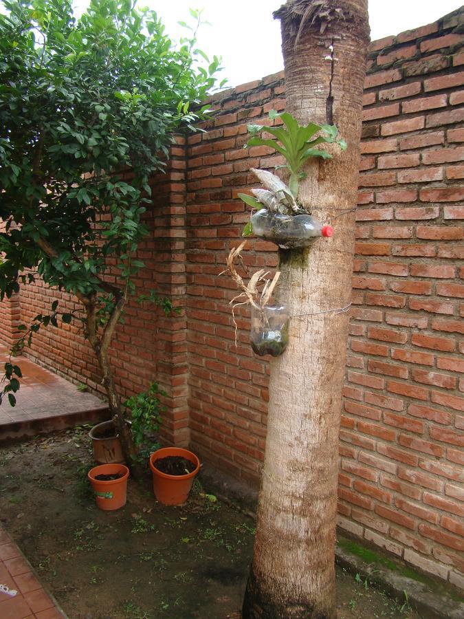 Albergue Sur Backpackers Santa Cruz de La Sierra Exterior foto